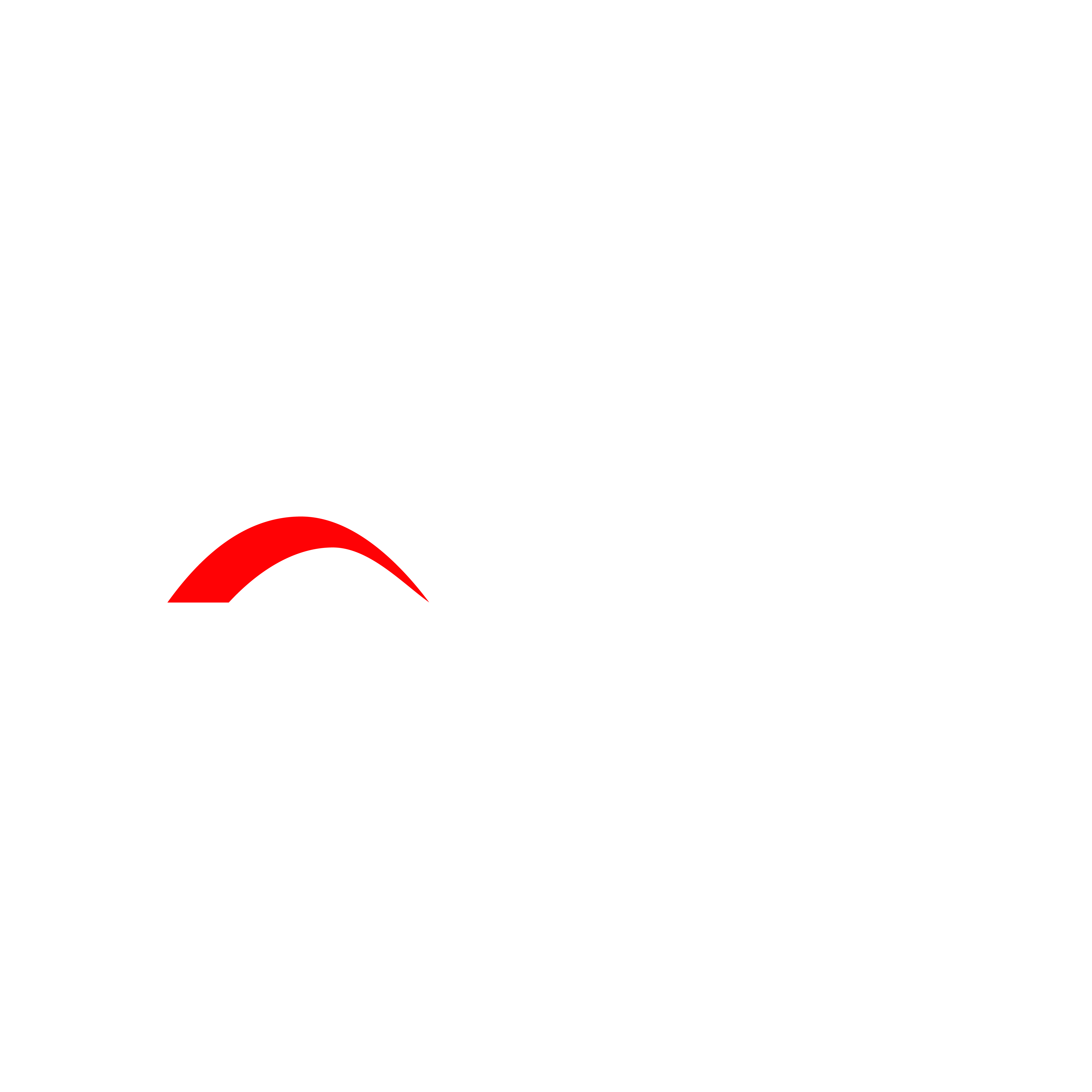 AMCHAMDR